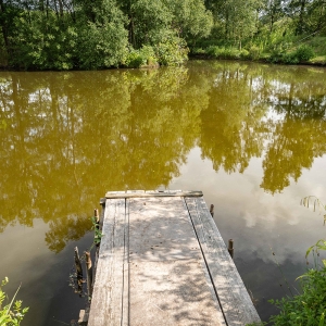 Redwell   17 06 2020   D500   Les 502.jpg